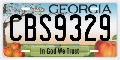 GA license plate CBS9329