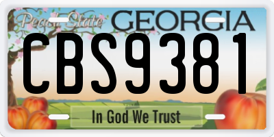 GA license plate CBS9381