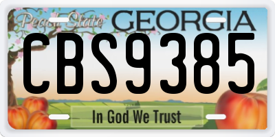 GA license plate CBS9385