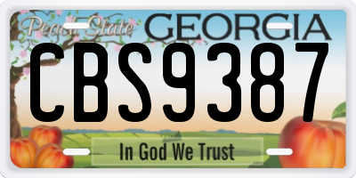 GA license plate CBS9387