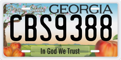 GA license plate CBS9388