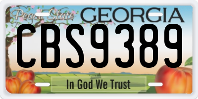 GA license plate CBS9389