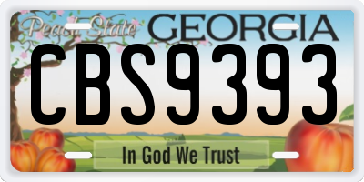 GA license plate CBS9393