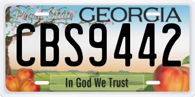 GA license plate CBS9442
