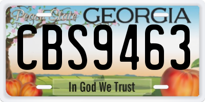 GA license plate CBS9463