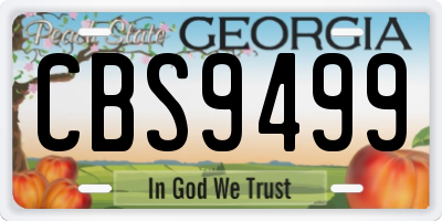 GA license plate CBS9499