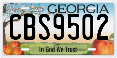 GA license plate CBS9502