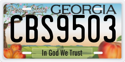 GA license plate CBS9503