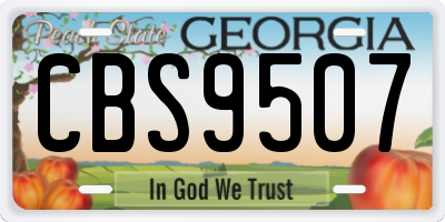 GA license plate CBS9507