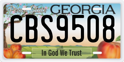 GA license plate CBS9508