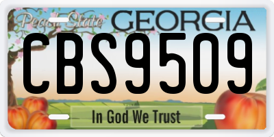 GA license plate CBS9509