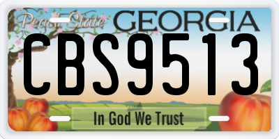 GA license plate CBS9513