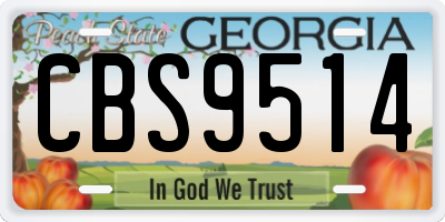 GA license plate CBS9514