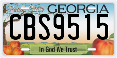 GA license plate CBS9515