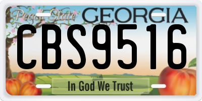 GA license plate CBS9516