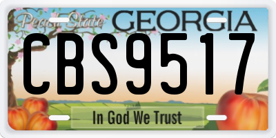 GA license plate CBS9517