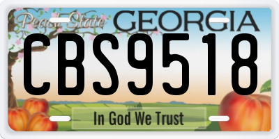 GA license plate CBS9518