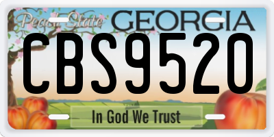 GA license plate CBS9520