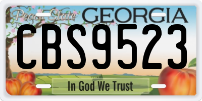 GA license plate CBS9523