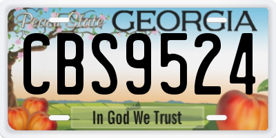 GA license plate CBS9524