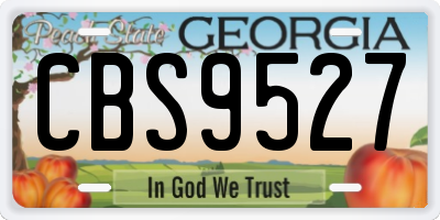GA license plate CBS9527