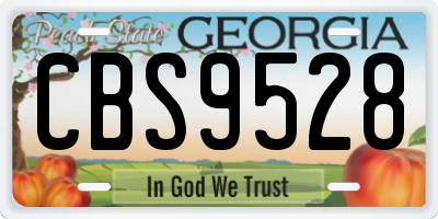 GA license plate CBS9528