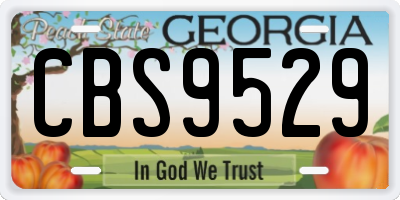 GA license plate CBS9529