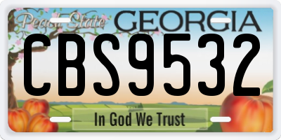 GA license plate CBS9532