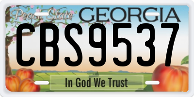 GA license plate CBS9537