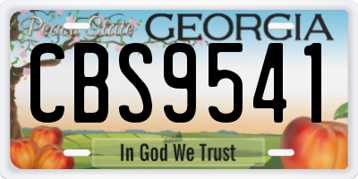 GA license plate CBS9541