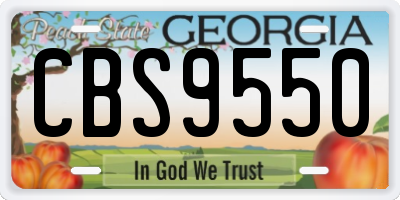 GA license plate CBS9550