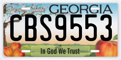 GA license plate CBS9553