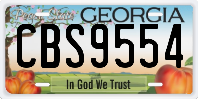 GA license plate CBS9554
