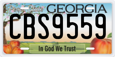 GA license plate CBS9559