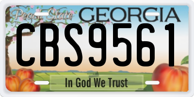 GA license plate CBS9561