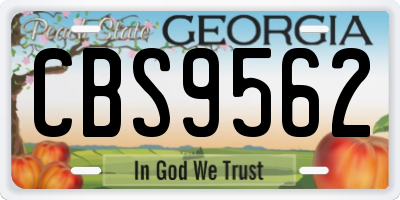 GA license plate CBS9562