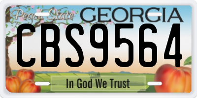 GA license plate CBS9564