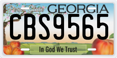 GA license plate CBS9565