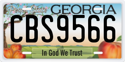 GA license plate CBS9566