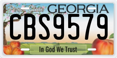 GA license plate CBS9579