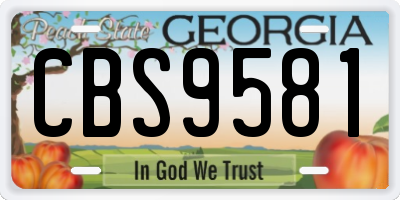 GA license plate CBS9581