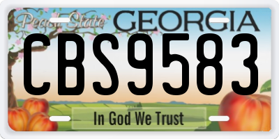 GA license plate CBS9583