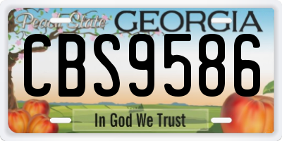 GA license plate CBS9586