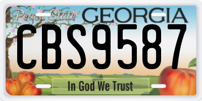 GA license plate CBS9587