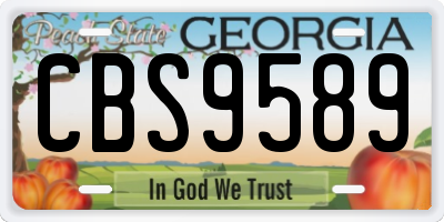 GA license plate CBS9589