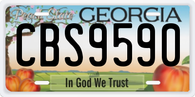 GA license plate CBS9590