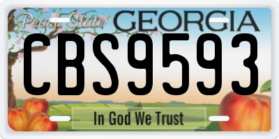 GA license plate CBS9593