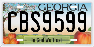 GA license plate CBS9599