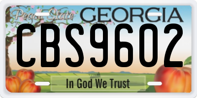 GA license plate CBS9602