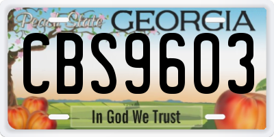 GA license plate CBS9603
